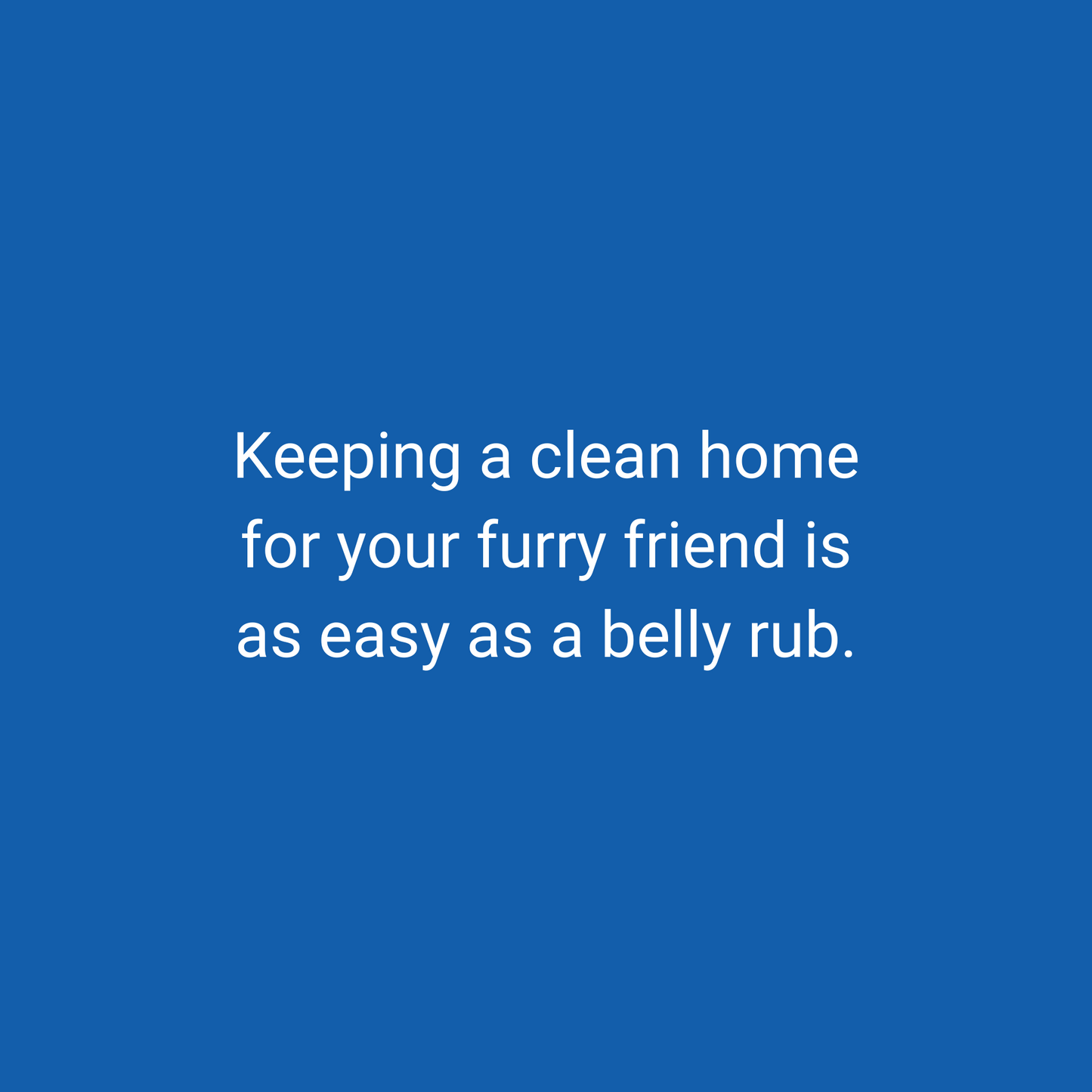 Pet Lover Cleaning Essentials