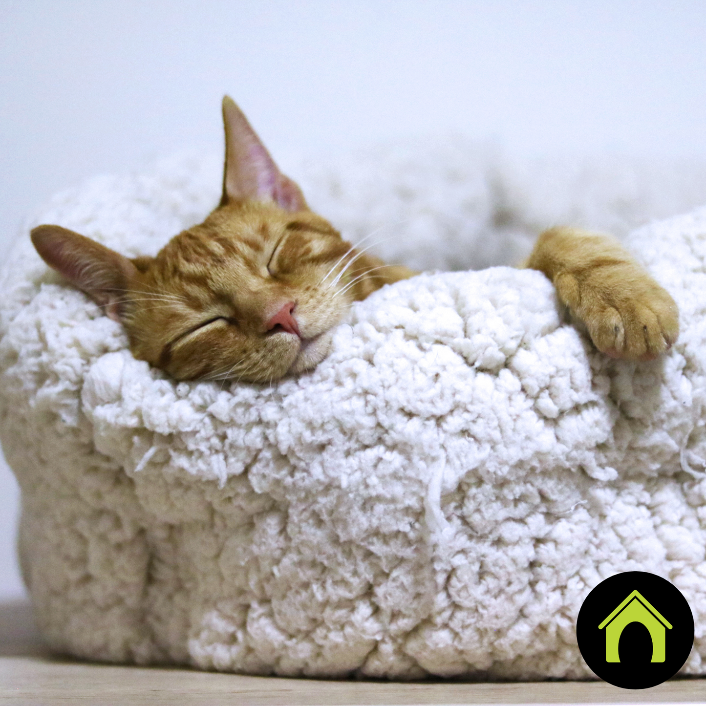 Safe Pet Bed+Toy Wash