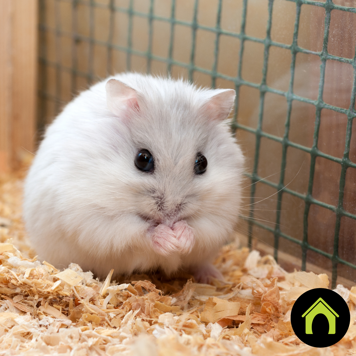 Safe Crate Pro Vet Formula Wipes