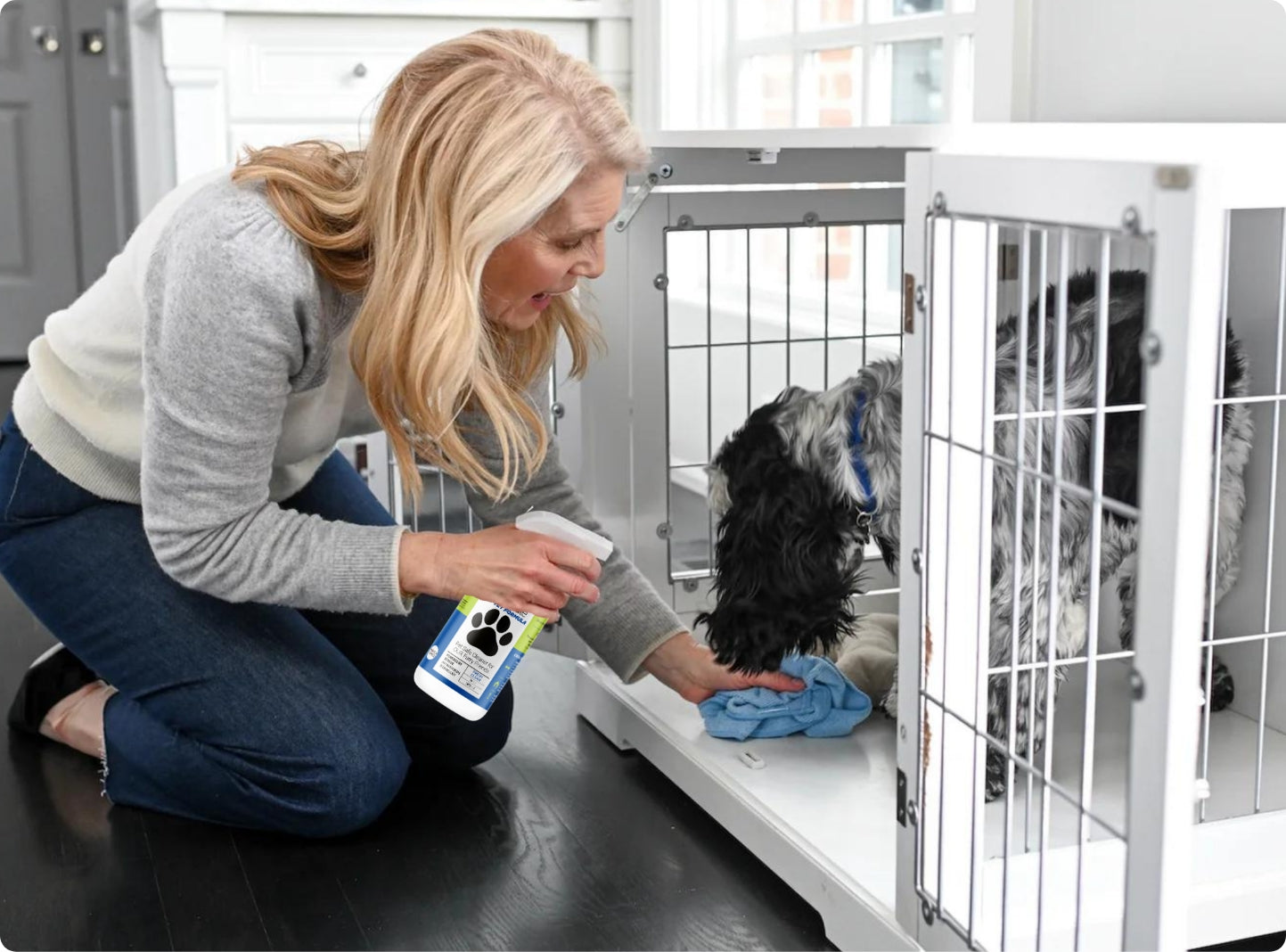 gửi chó khách sạn cần tiêm phòng gì